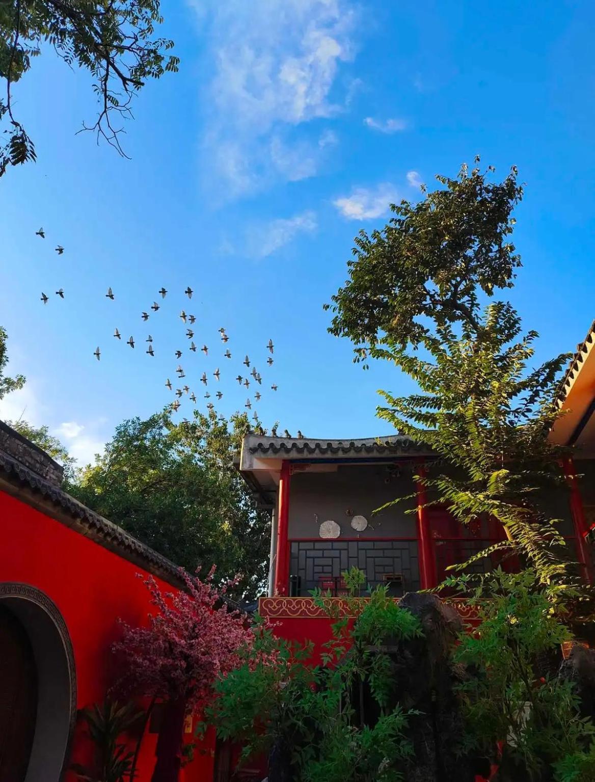 Rong - Nanluoguxiang Branch 3*